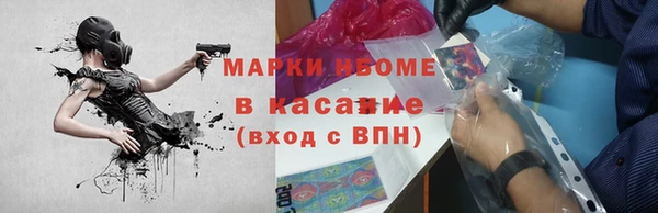 сатива Костерёво