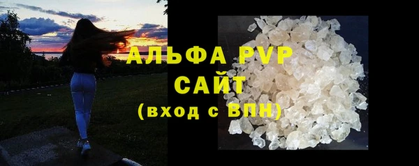 сатива Костерёво