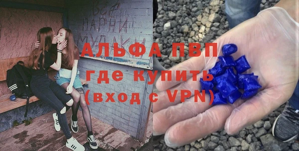 каннабис Корсаков